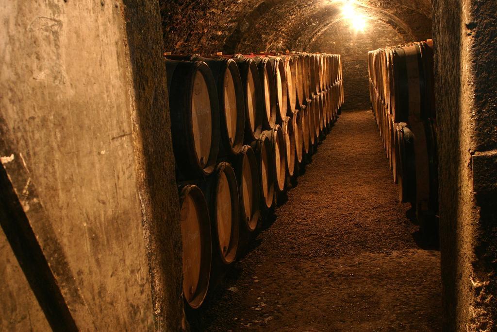 Maison D'Hotes Chandon De Briailles Savigny-lès-Beaune Екстериор снимка